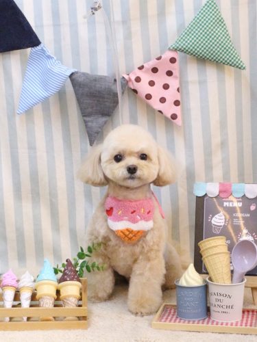 20250525むぎちゃん